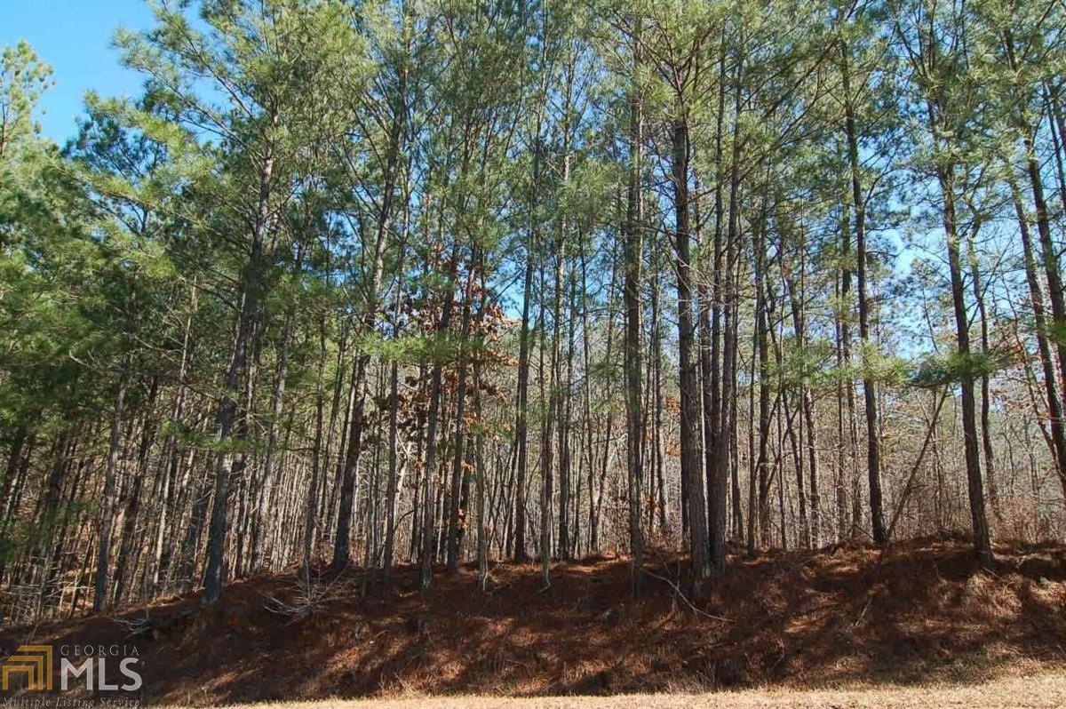 1480 Pullman Lane Greensboro GA 30642