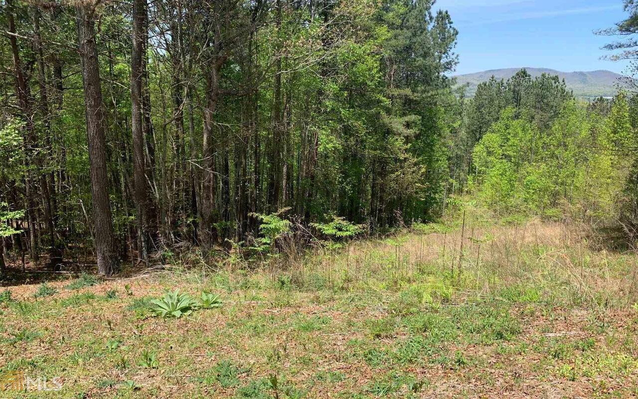 Lot 28 Loftis Mountain Blairsville GA 30512