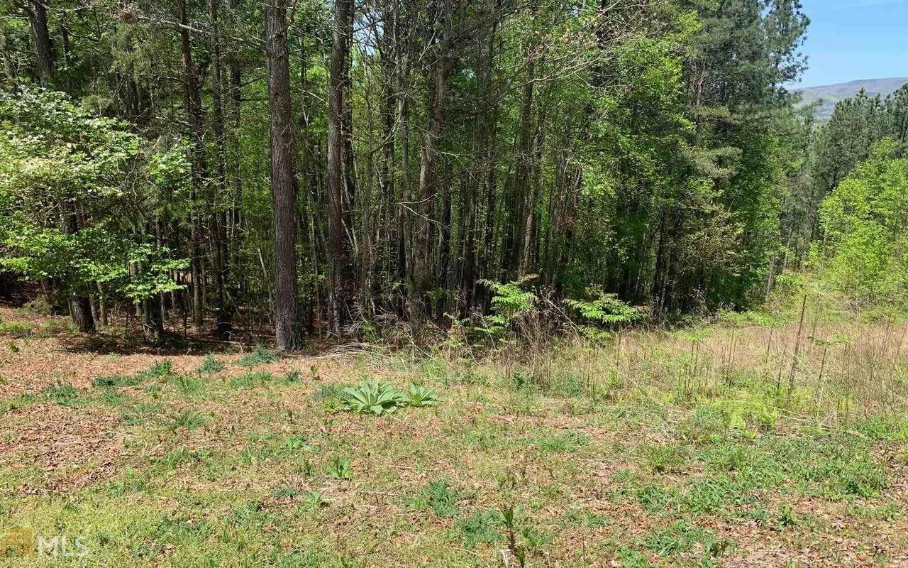 Lot 28 Loftis Mountain Blairsville GA 30512