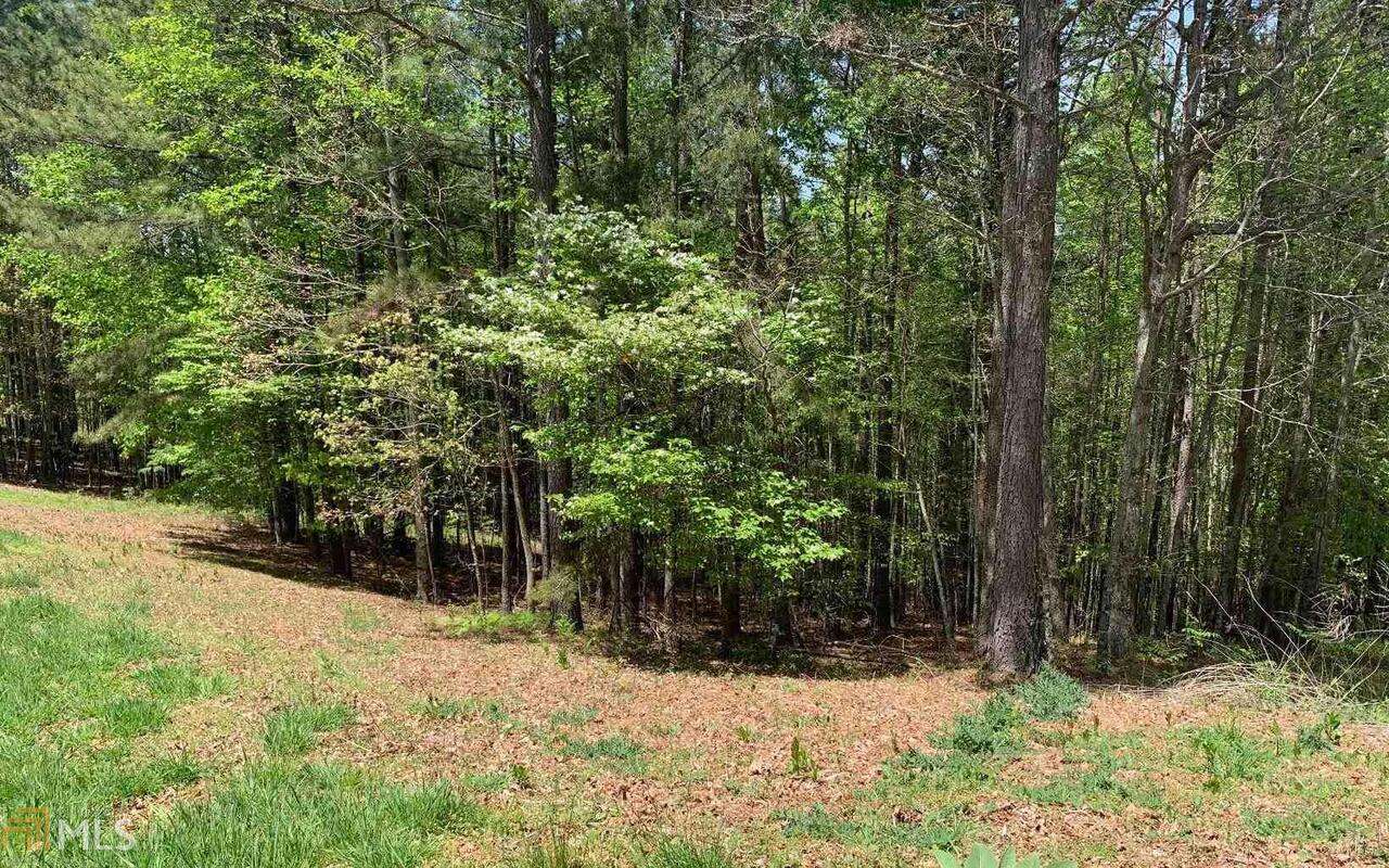 Lot 28 Loftis Mountain Blairsville GA 30512