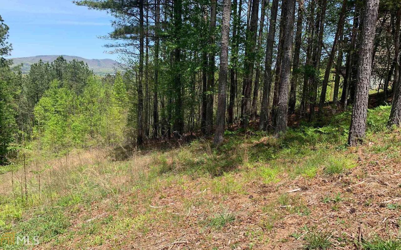 Lot 28 Loftis Mountain Blairsville GA 30512