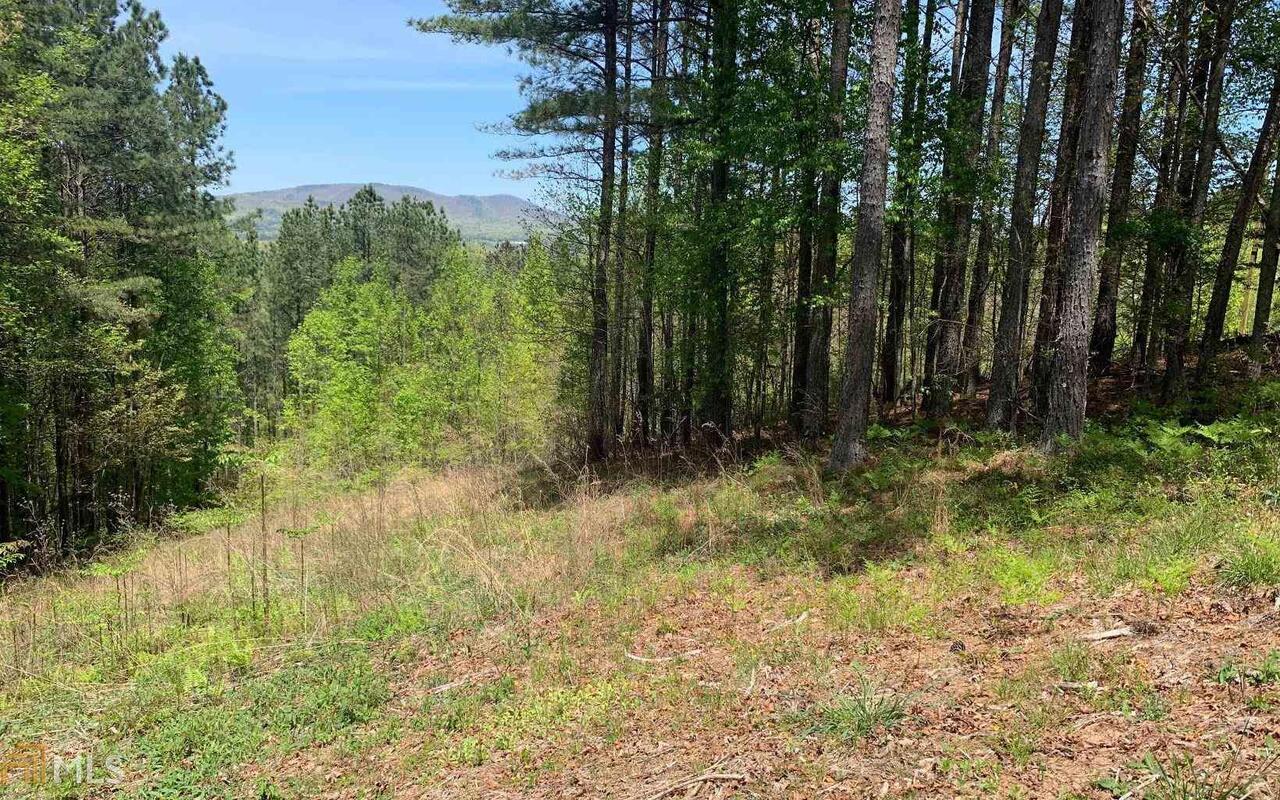 Lot 28 Loftis Mountain Blairsville GA 30512
