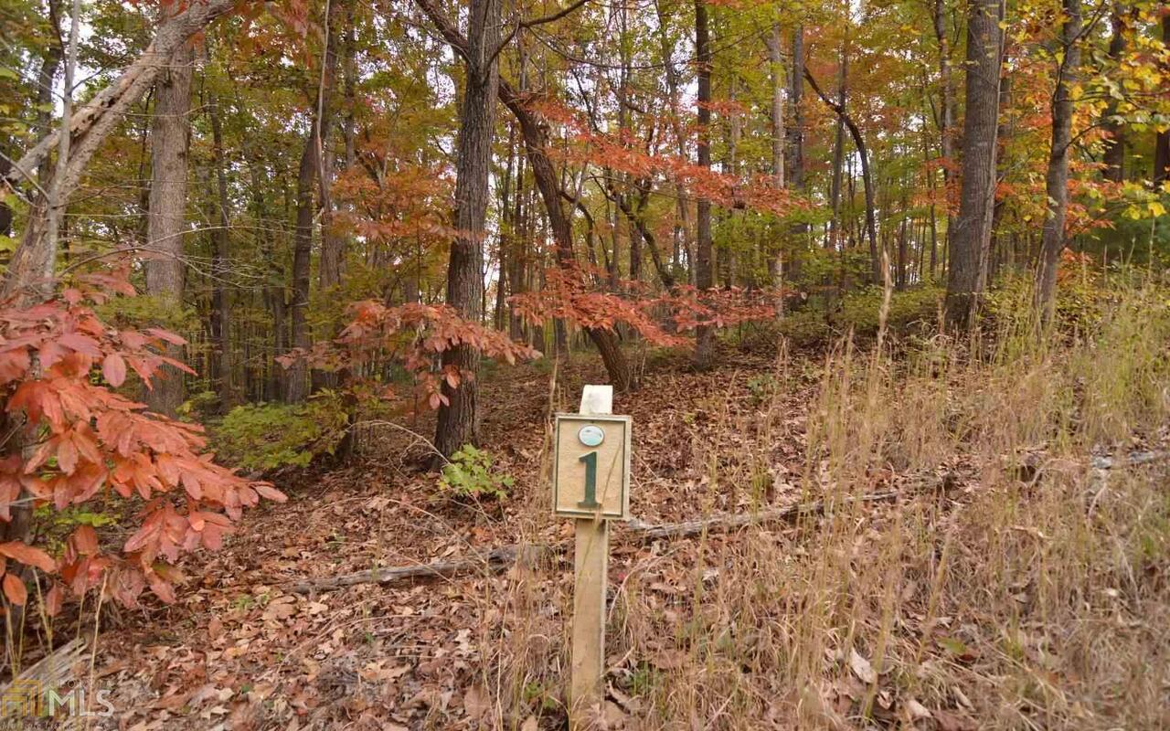 Lot 1 Serenity Ridge Blairsville GA 30512