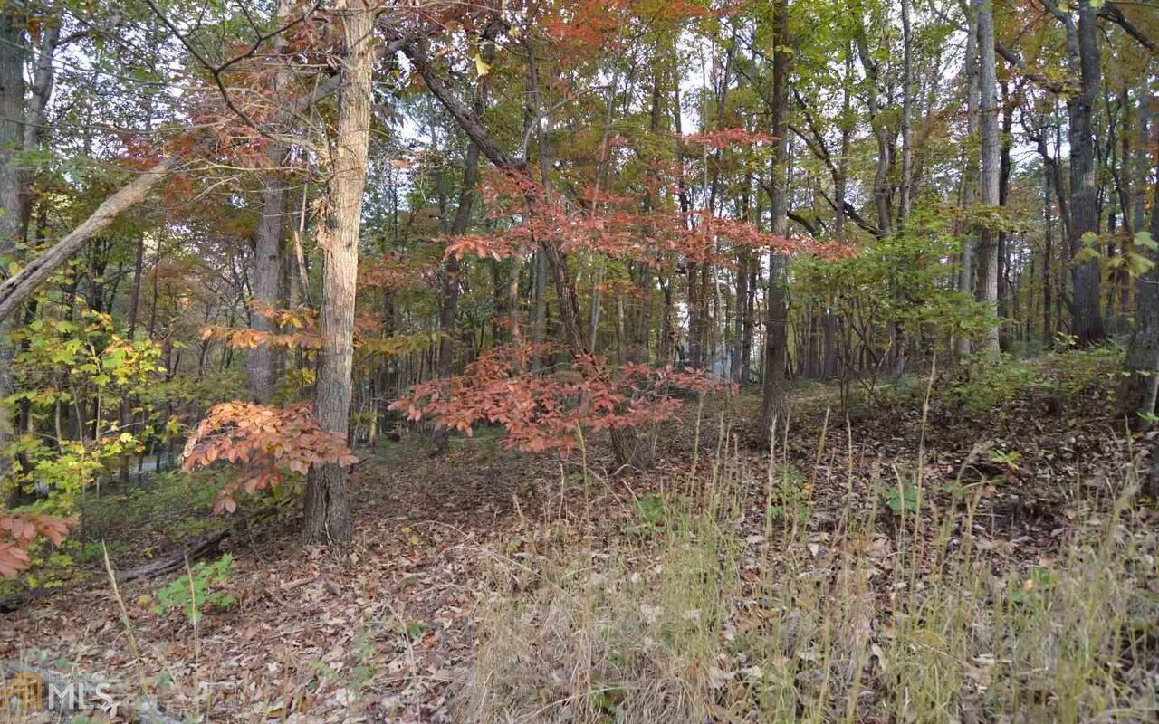 Lot 1 Serenity Ridge Blairsville GA 30512