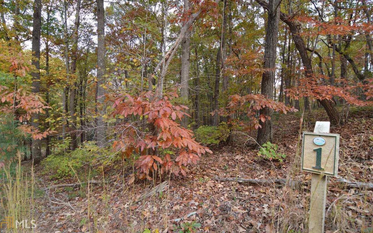 Lot 2 Serenity Ridge Blairsville GA 30512
