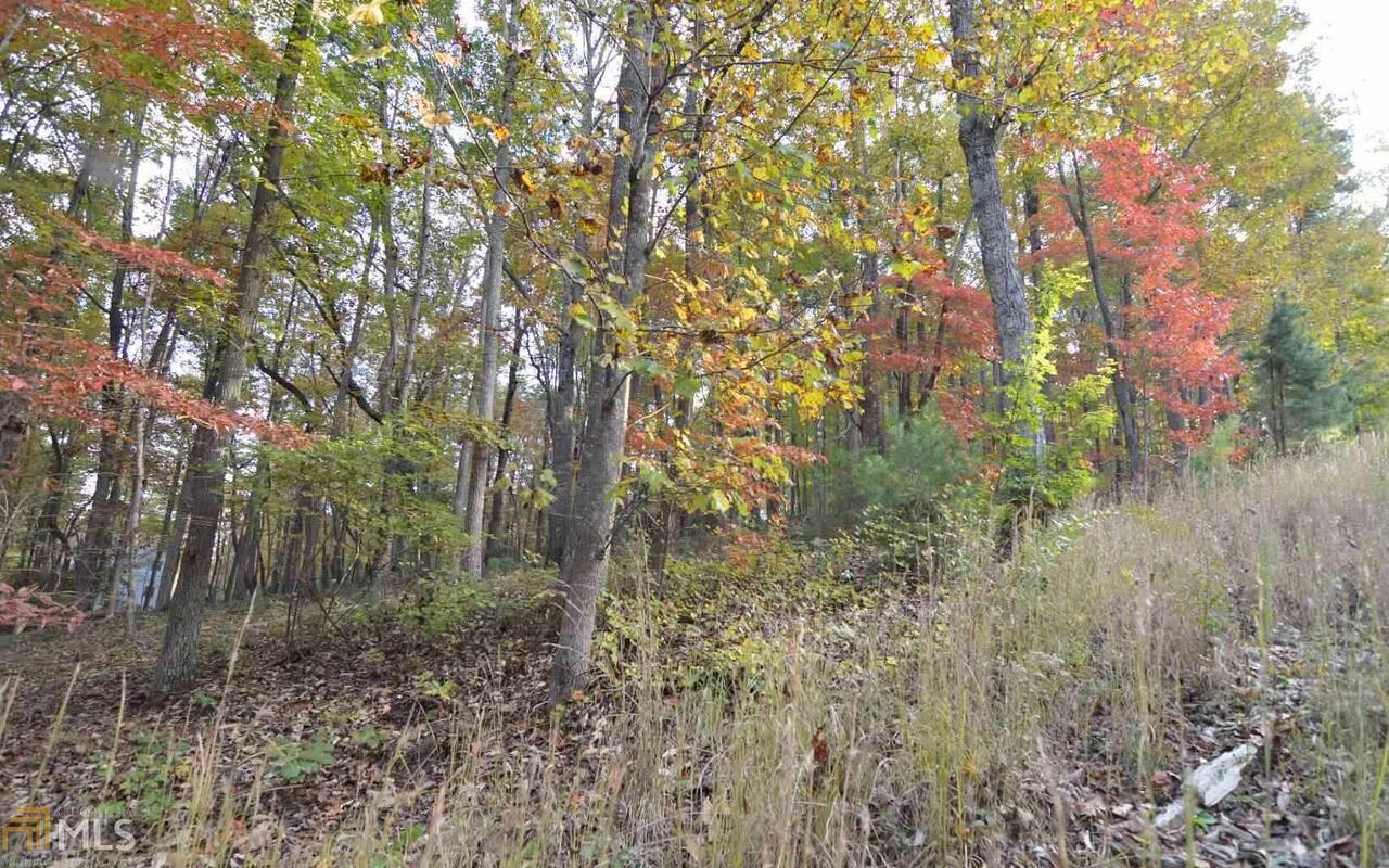 Lot 2 Serenity Ridge Blairsville GA 30512