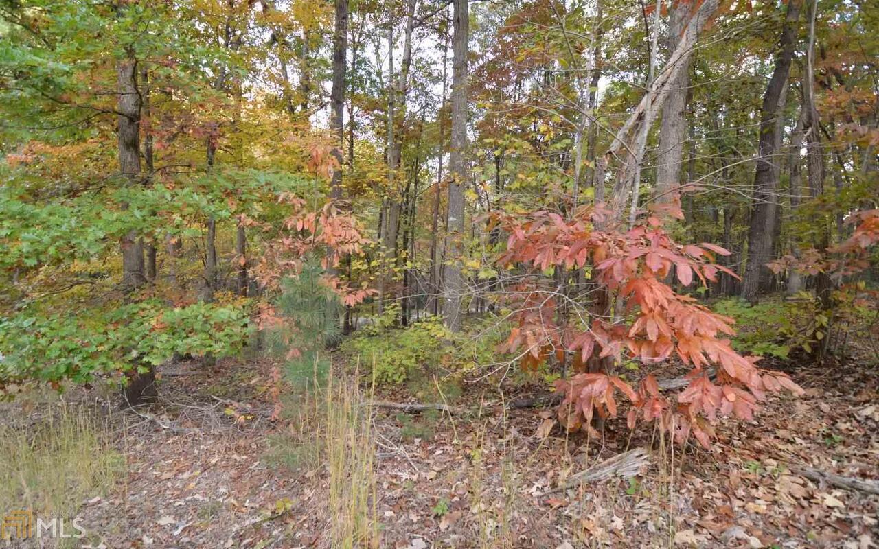 Lot 2 Serenity Ridge Blairsville GA 30512